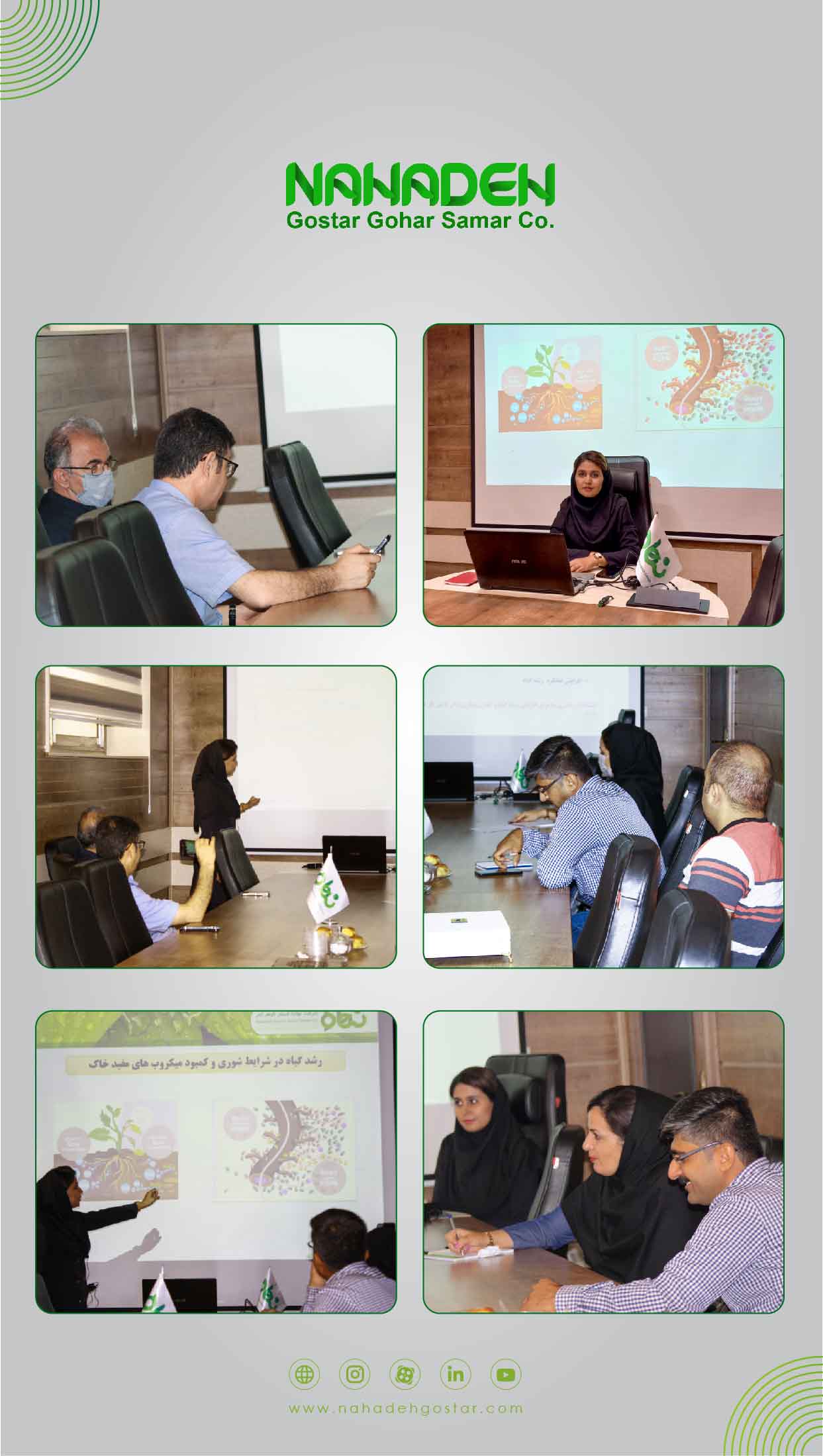 Presentation on the effect of the composition Ironica Complex a biological growth stimulant(1)